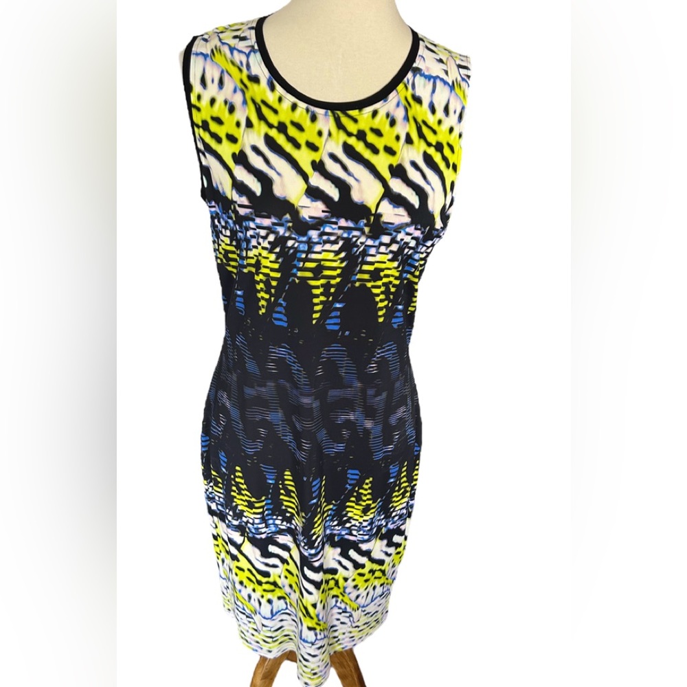 Roberto Cavalli dress